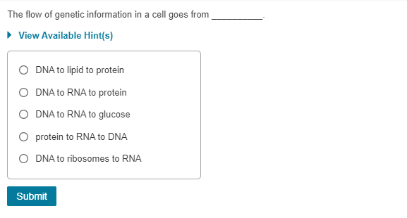 Solved The flow of genetic information in a cell goes | Chegg.com