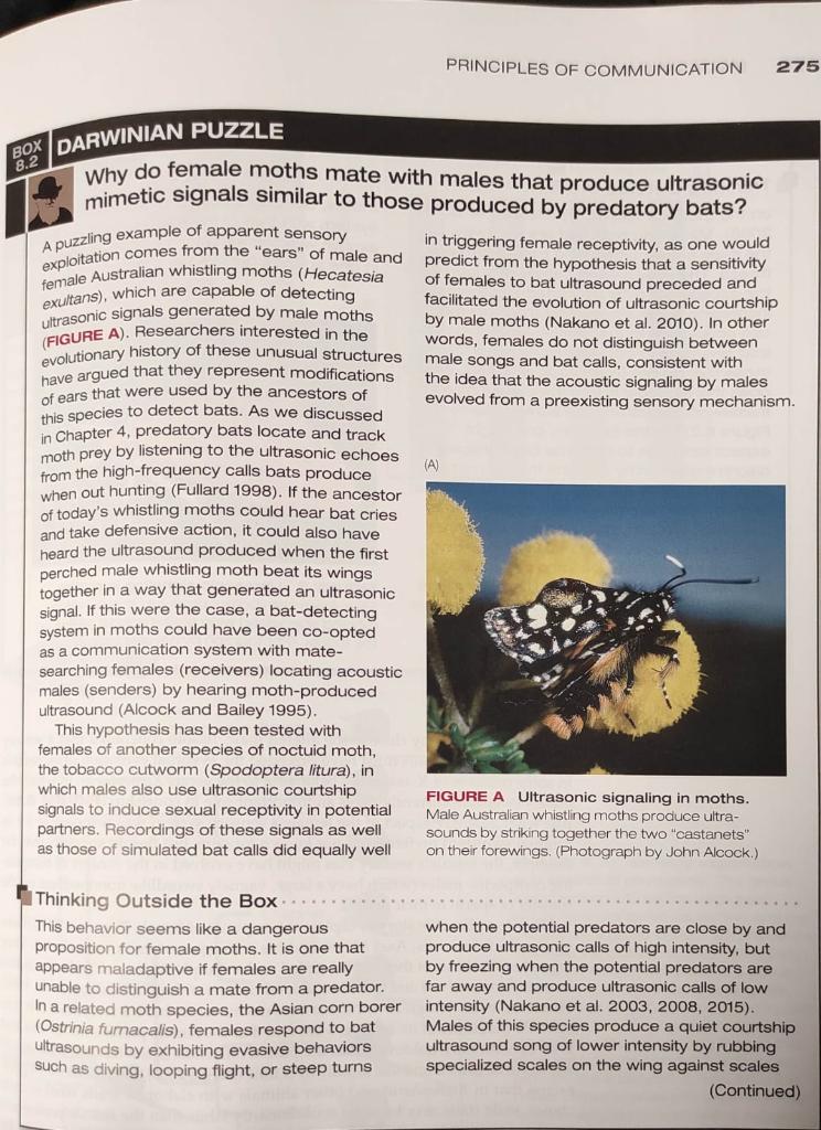 Solved PRINCIPLES OF COMMUNICATION 275 BOX DARWINIAN PUZZLE