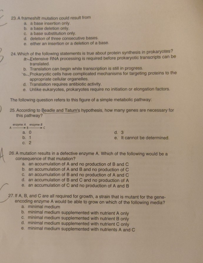 Solved 23. A frameshift mutation could result from a. a base