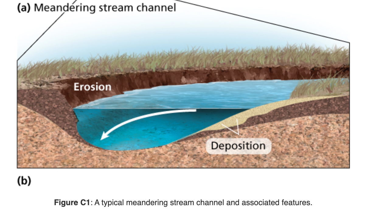 solved-rivers-meander-through-the-landscape-when-slopes-are-chegg