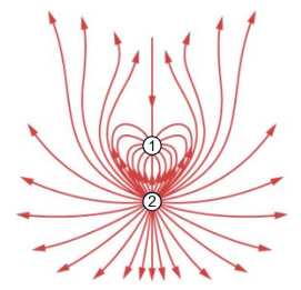 Solved The figure shows the electric field produced by two | Chegg.com