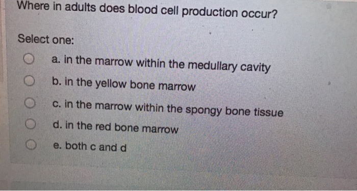 Solved Where in adults does blood cell production occur Chegg