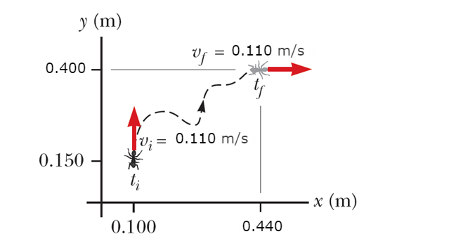 Solved An ant crawls on the floor along the curved path | Chegg.com