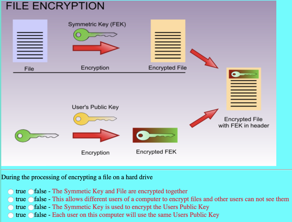 Solved FILE ENCRYPTION Symmetric Key (FEK) File Encryption | Chegg.com