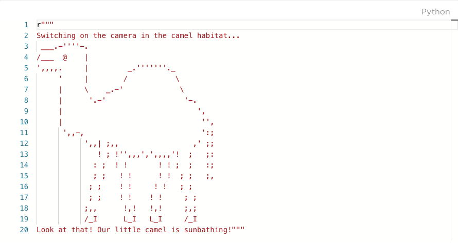 Solved Python 1 2 3 Switching on the camera in the camel | Chegg.com