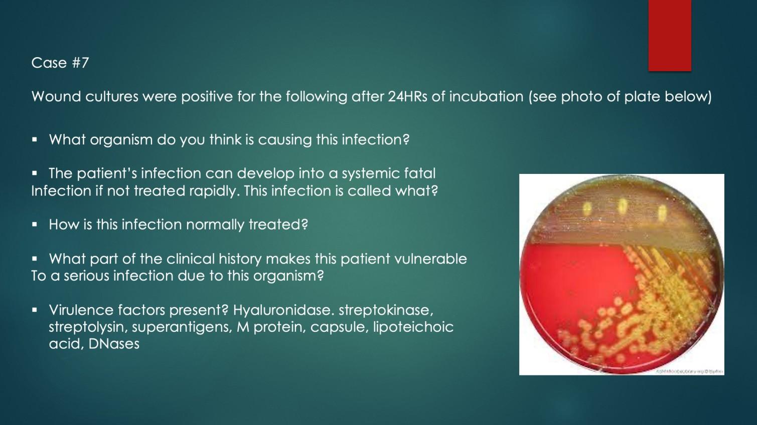Solved Case #7 Wound cultures were positive for the | Chegg.com