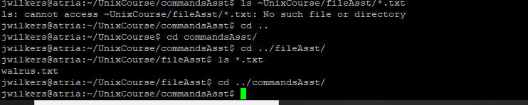 Solved What command could you use to list the text files | Chegg.com