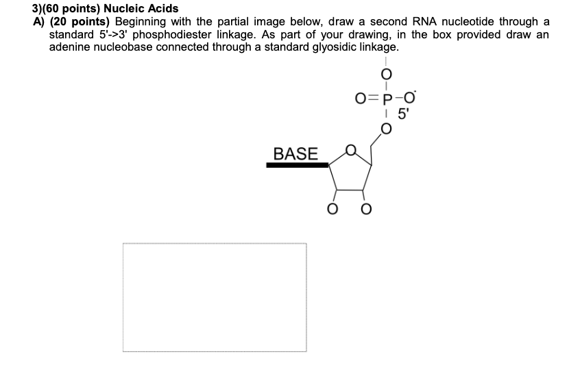 nucleic acids drawing