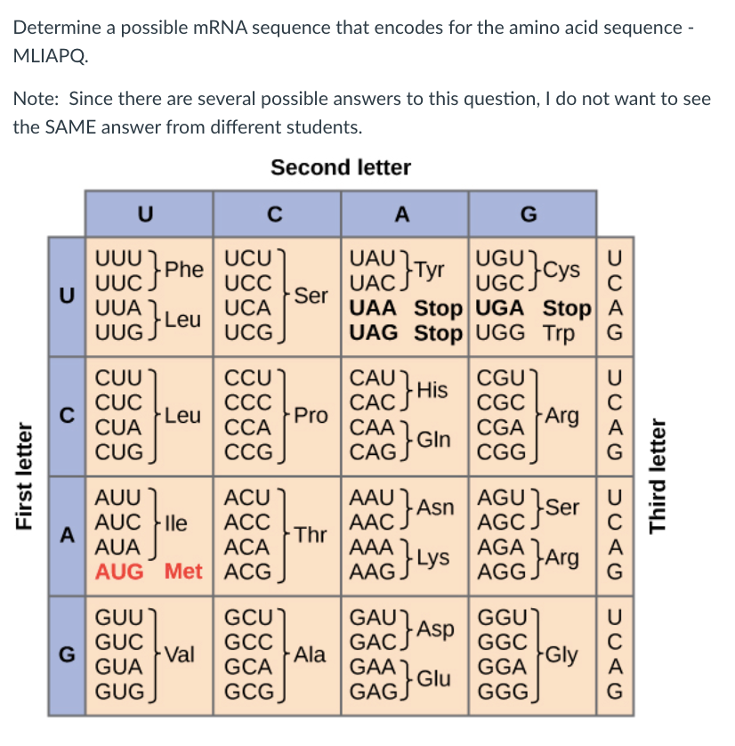 Solved Determine a possible mRNA sequence that encodes for | Chegg.com