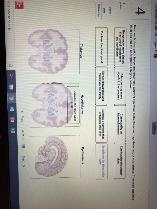 Solved er 14 4 Read each description below and determine
