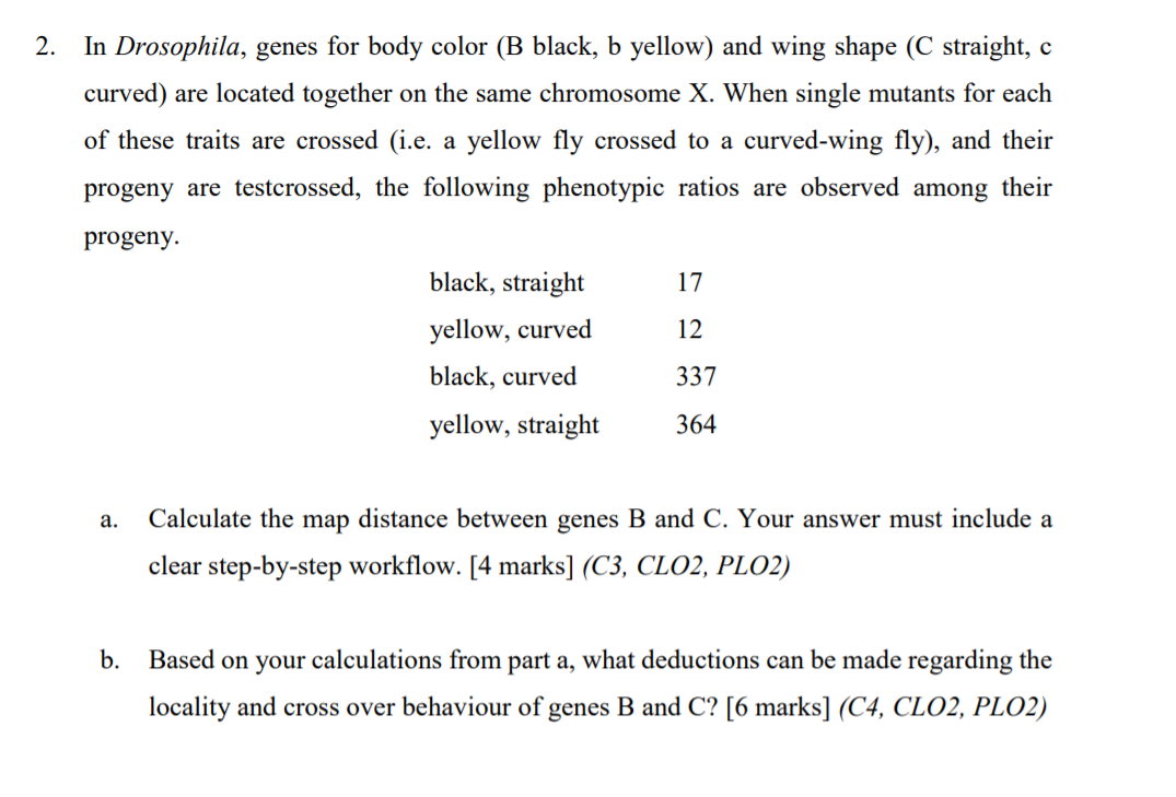 Solved 2. In Drosophila, Genes For Body Color (B Black, B | Chegg.com