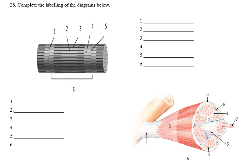 Solved 26. Complete the labelling of the diagrams below. 1. | Chegg.com