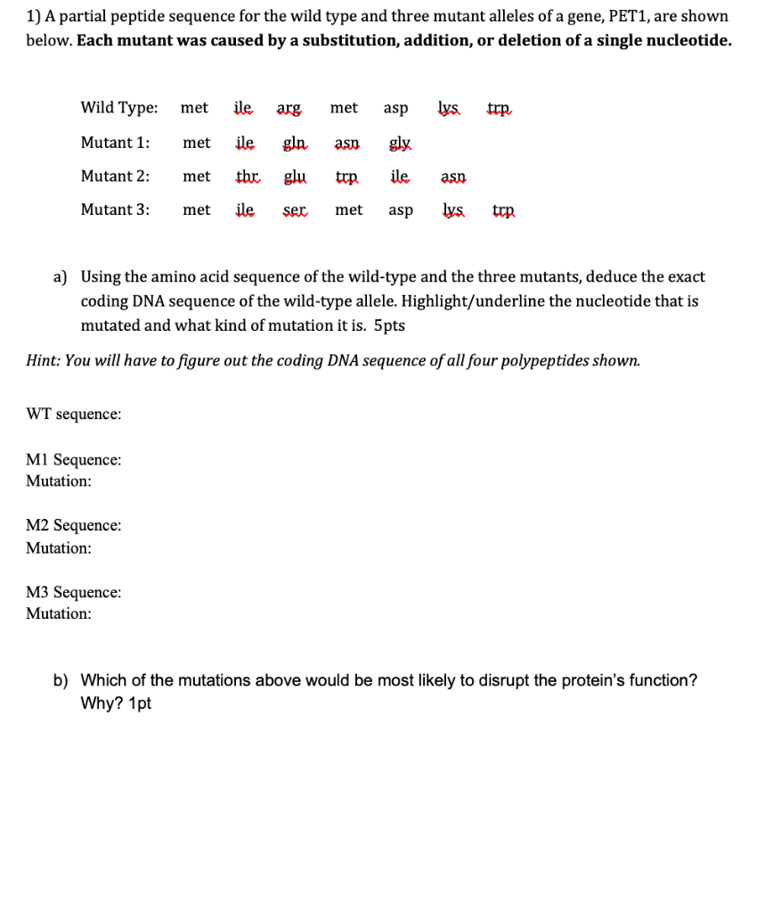 Solved 1) A partial peptide sequence for the wild type and | Chegg.com