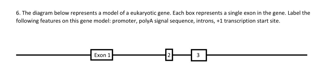 Solved 6. The diagram below represents a model of a | Chegg.com