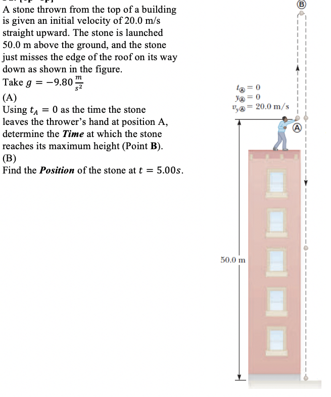 Solved B m A stone thrown from the top of a building is | Chegg.com