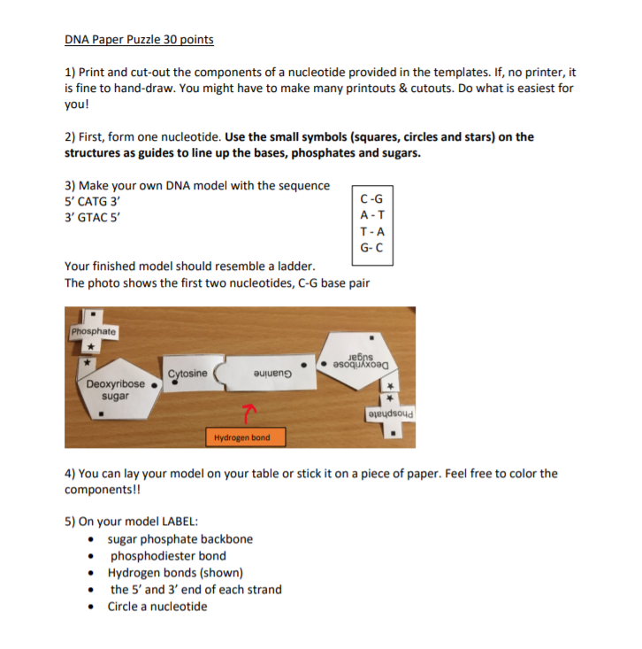 Sequence Chart Template - Four Squares on a Small Circle