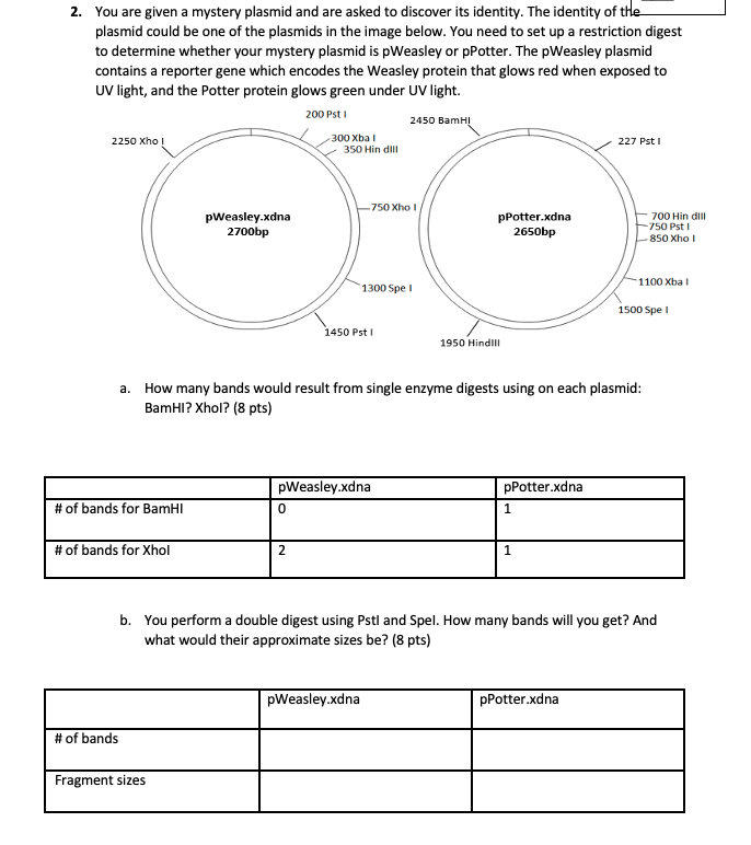 Solved 2. You are given a mystery plasmid and are asked to | Chegg.com