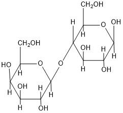 Solved what are the two monosaccharides produced following | Chegg.com