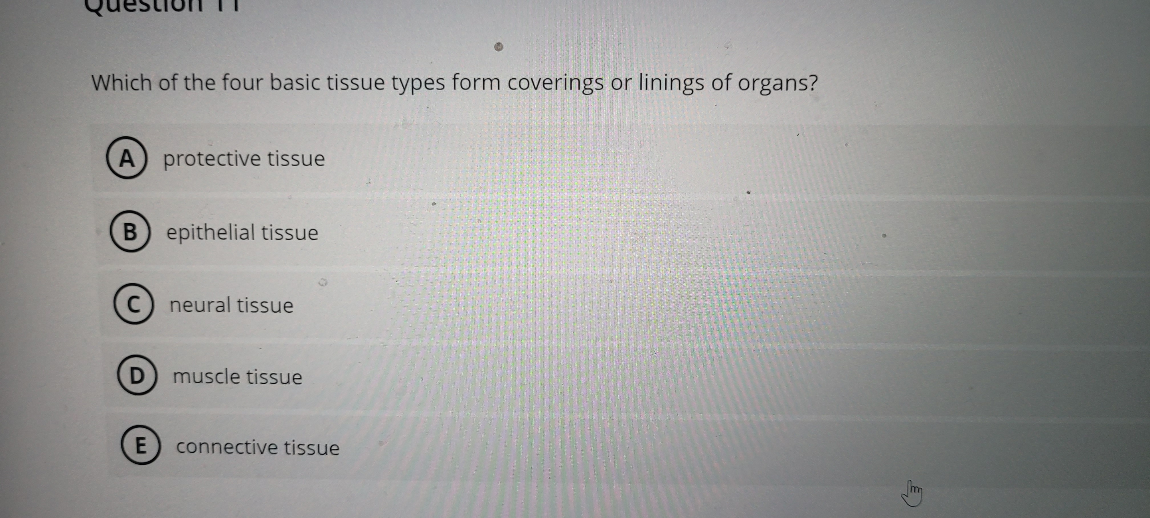 Solved which of the four basic tissue types form coverings chegg