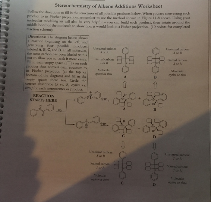 Solved Name Stereochemistry Of Alkene Additions Worksheet Chegg