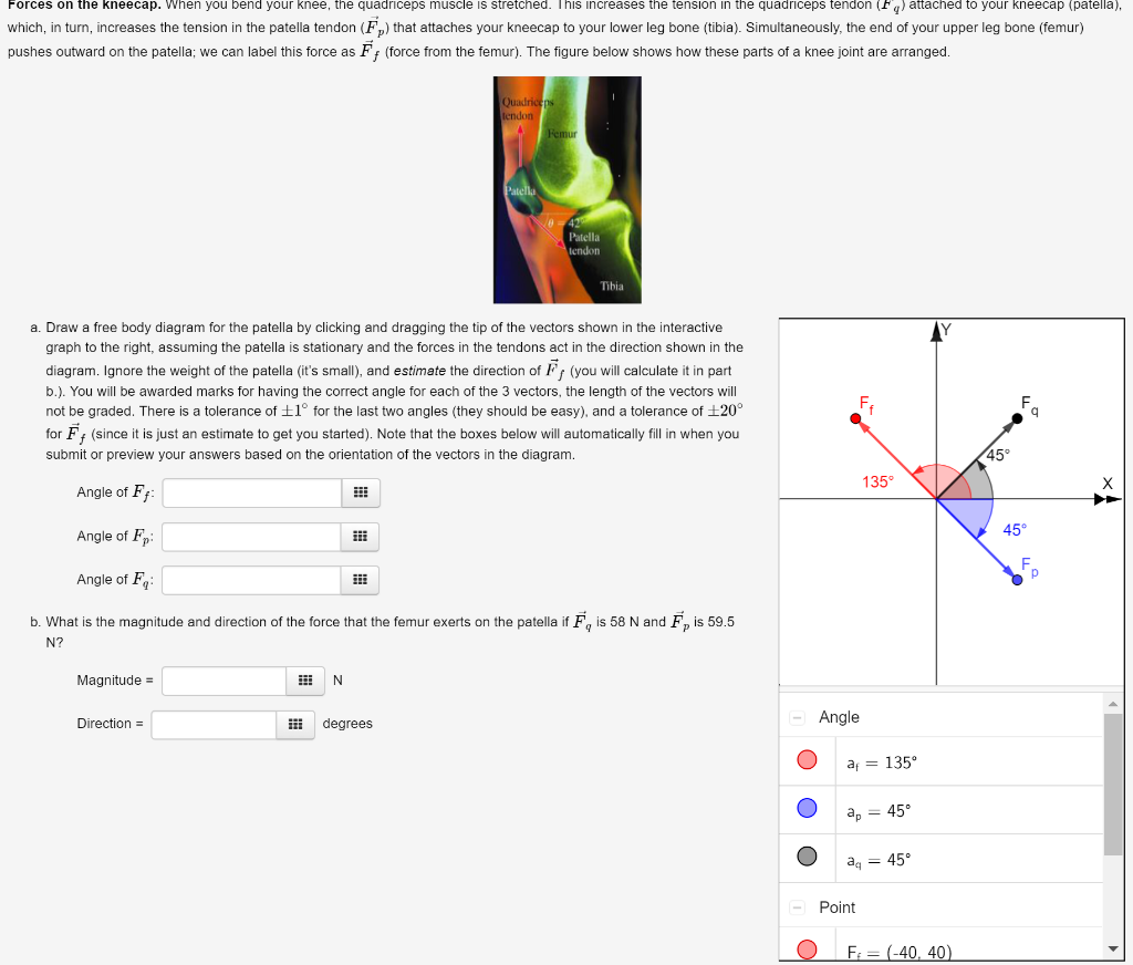 Solved Forces on the kneecap. When you bend your knee, the