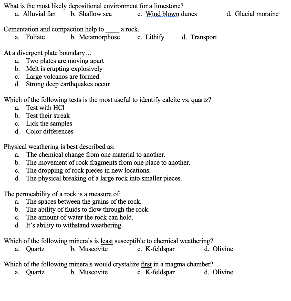 Solved What is the most likely depositional environment for | Chegg.com