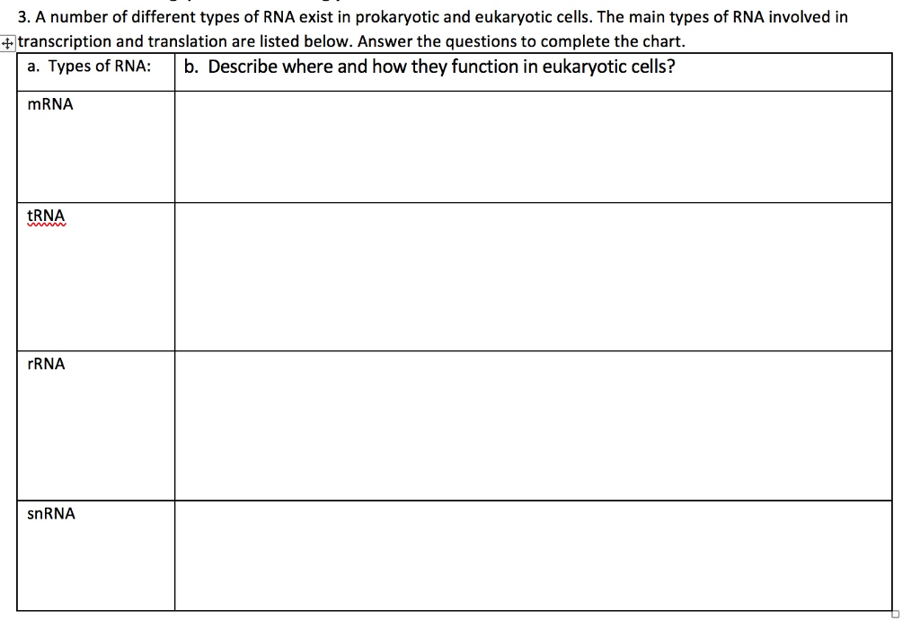 Solved 3 A Number Of Different Types Of RNA Exist In Chegg