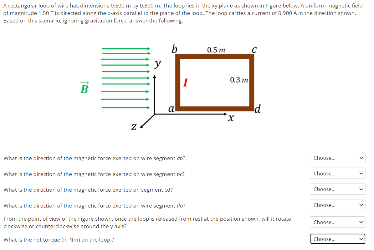 Given the loop with 2025 the dimentions x and y