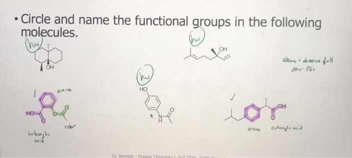 Solved Circle and name the functional groups in the | Chegg.com