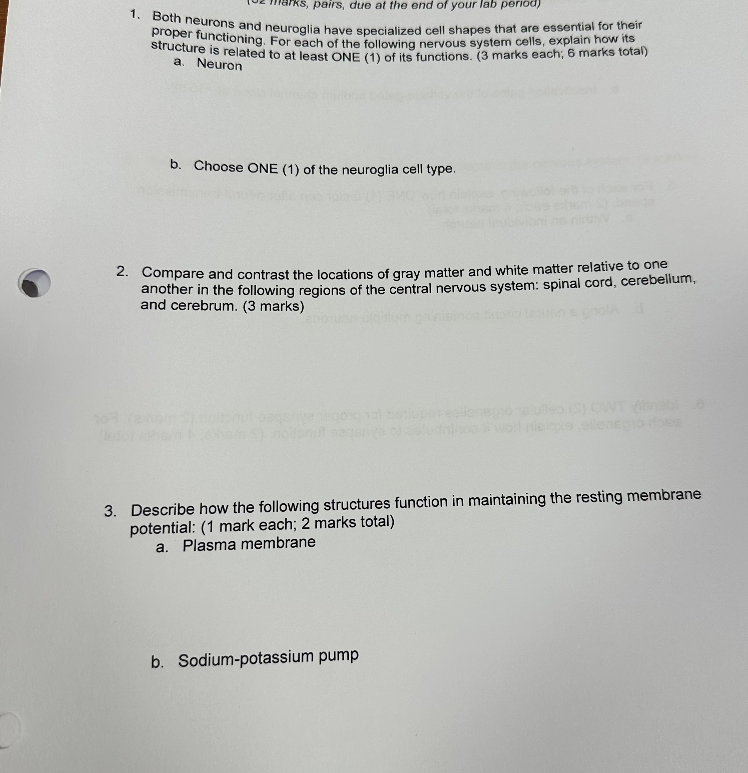 Solved 1. Both neurons and neuroglia have specialized cell | Chegg.com