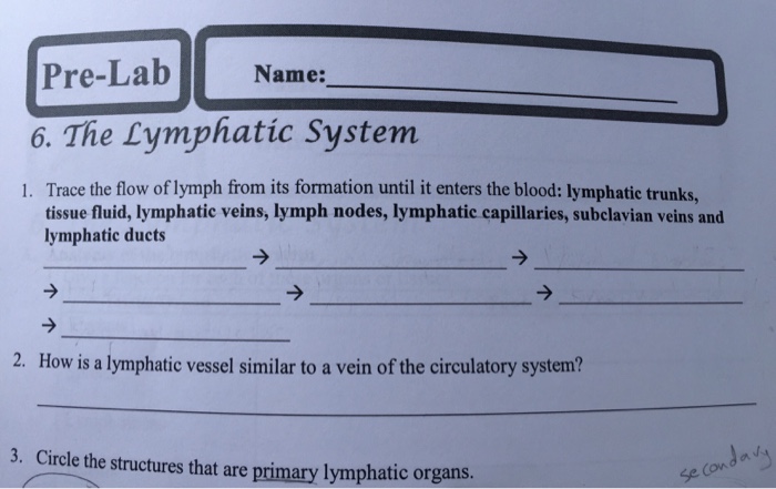 Solved Trace the flow of lymph from its formation until it | Chegg.com