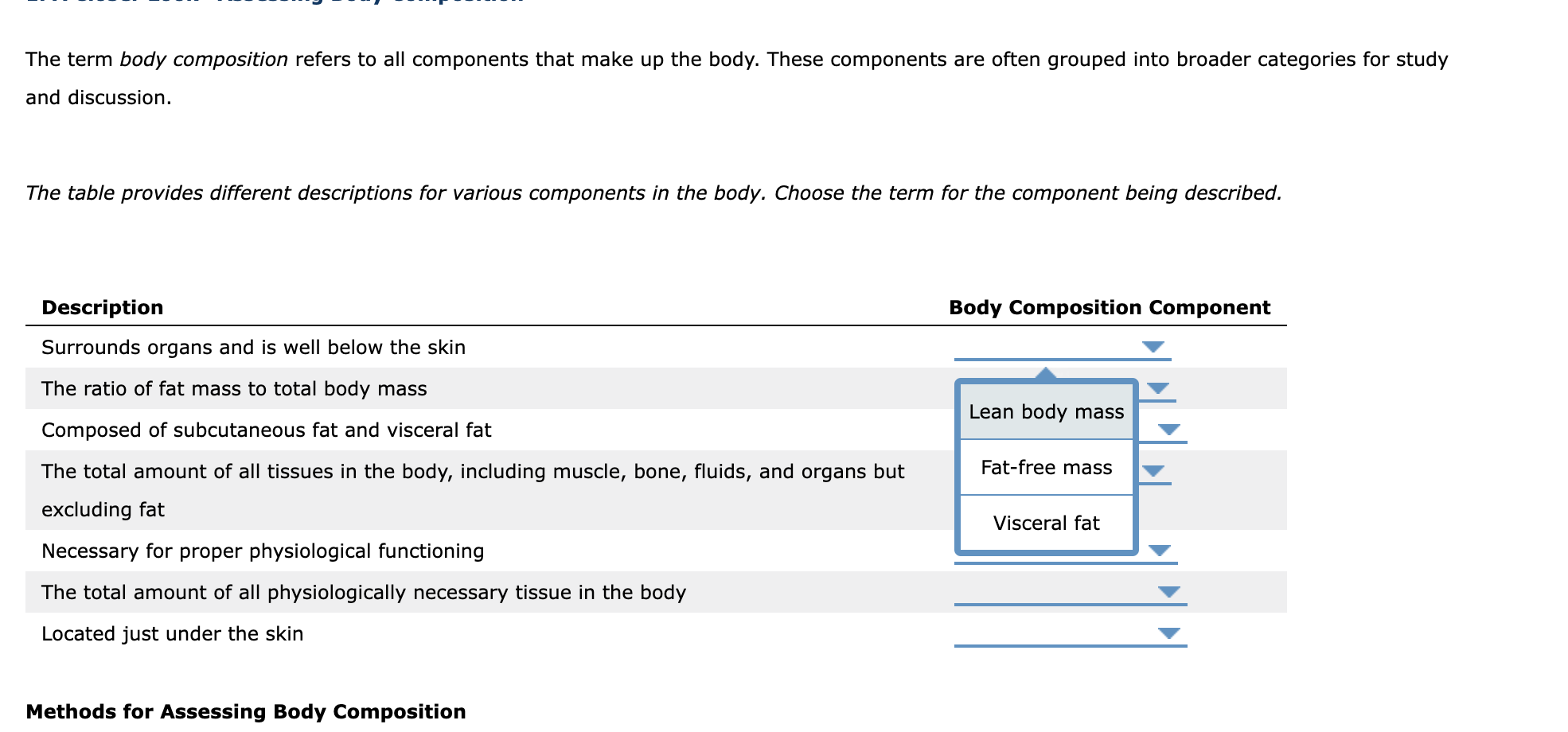 What Is Body Composition and Why Does It Matter?