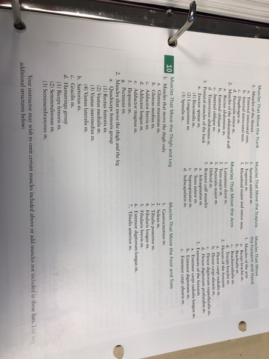 Solved TABLE 10.2 Model Inventory f Model/Diagram for | Chegg.com