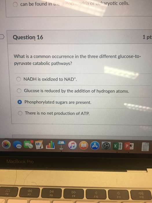 Solved I am not sure if it is correct answer or not | Chegg.com
