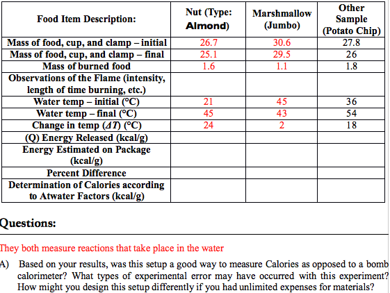 burning food experiment risk assessment