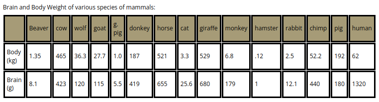 Solved Brain and Body Weight of various species of mammals: | Chegg.com