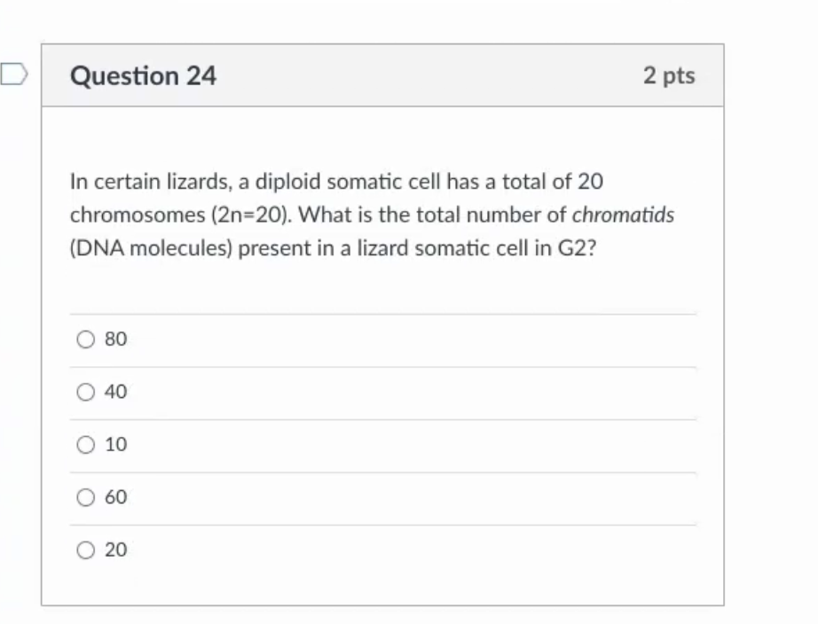 Solved Question 22 2 pts DNA is synthesized during | Chegg.com