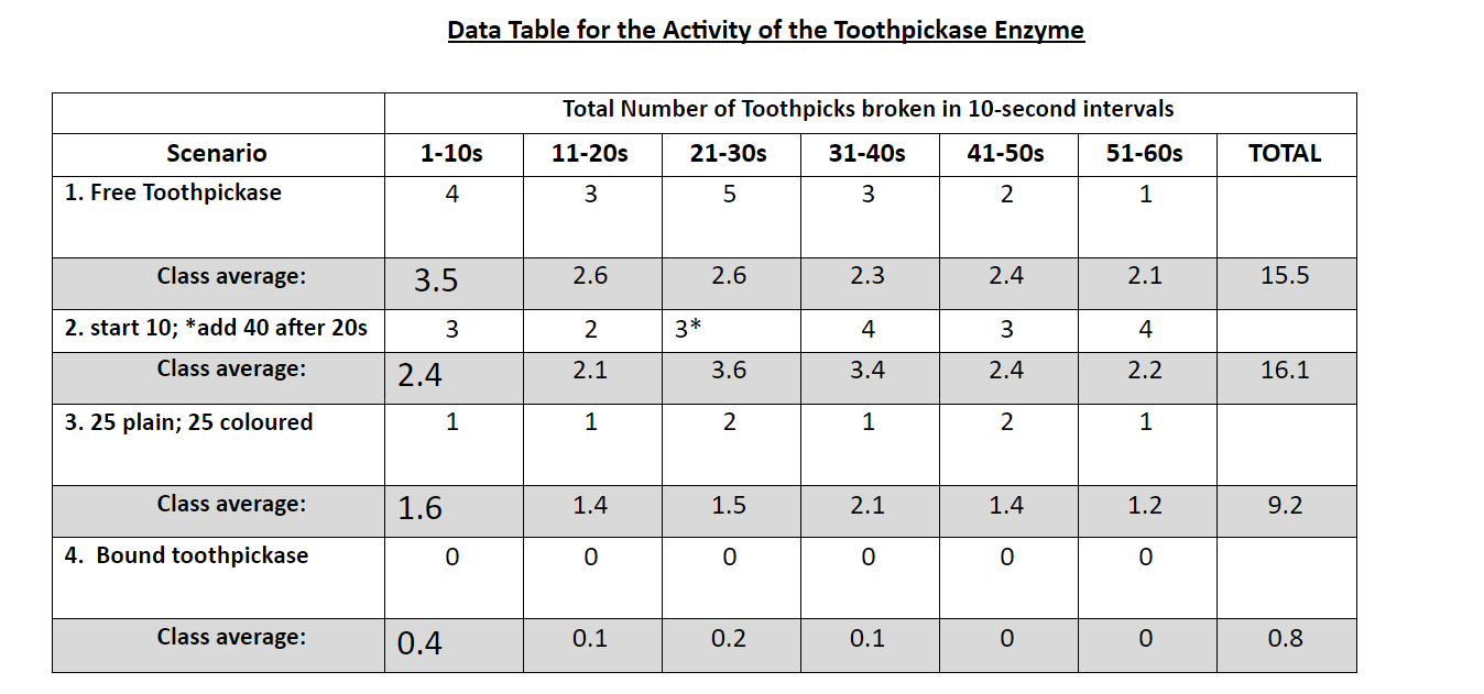 Solved Enzyme Toothpickase Lab Given the data table below ,