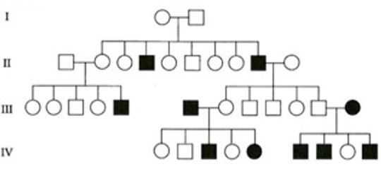 Solved Consider the type of inheritance that is shown in the | Chegg.com