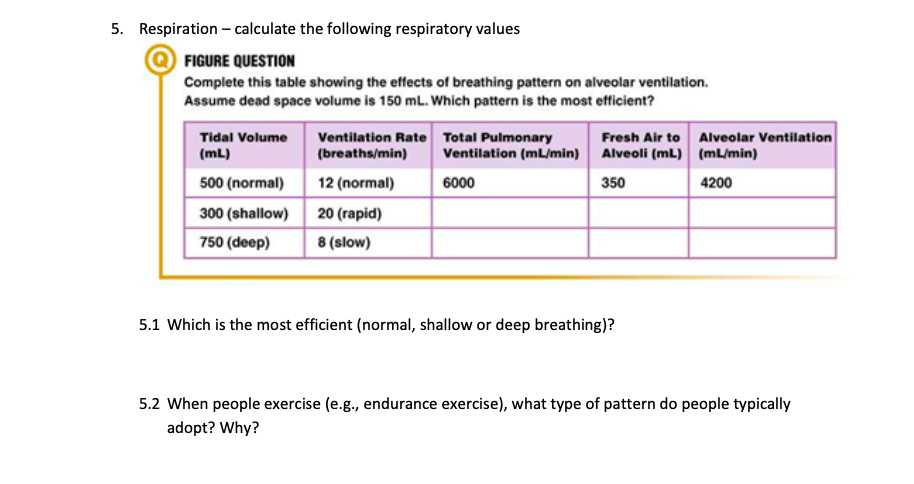 respiration dead space vs shunt