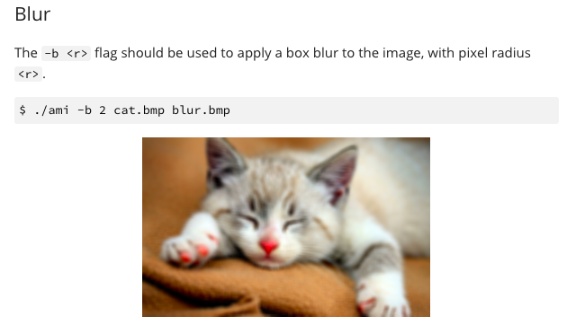 Image Example Cats Bmp I am trying to complete this in C programming. The | Chegg.com