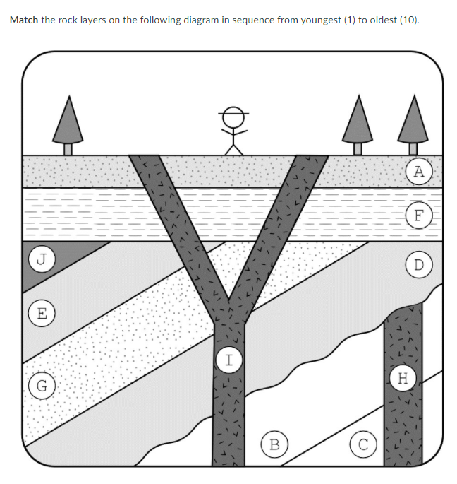 Solved Match the rock layers on the following diagram in