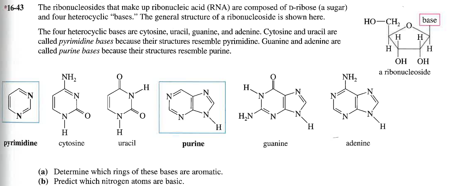 Structure−Activity Relationship of Purine Ribonucleosides for