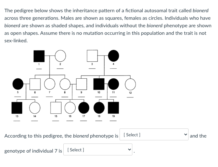 Solved The pedigree below shows the inheritance pattern of a | Chegg.com