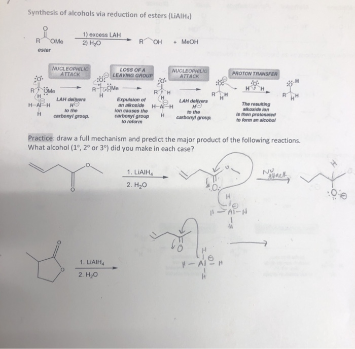 Solved Practice: draw a full mechanism and predict the major | Chegg.com