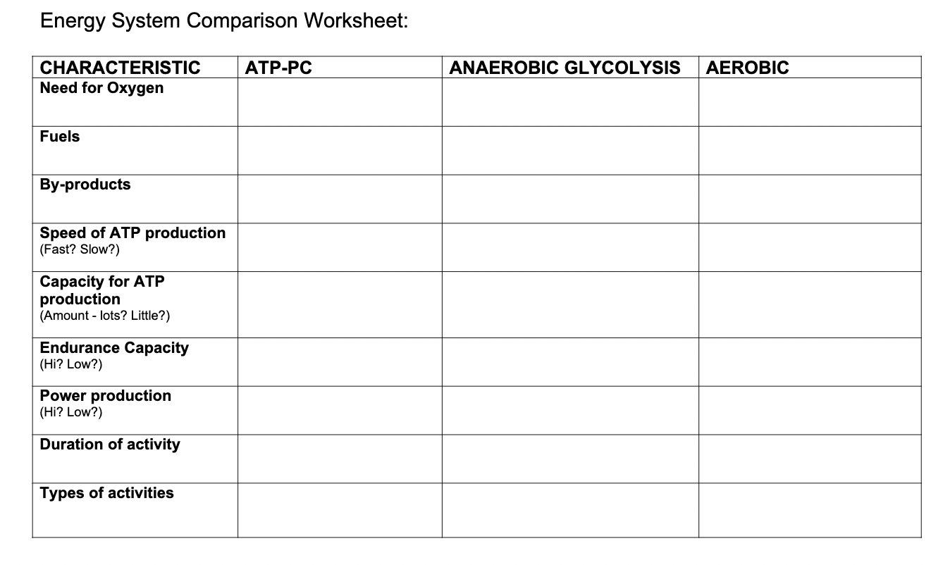 NEED FOR SPEED Worksheet