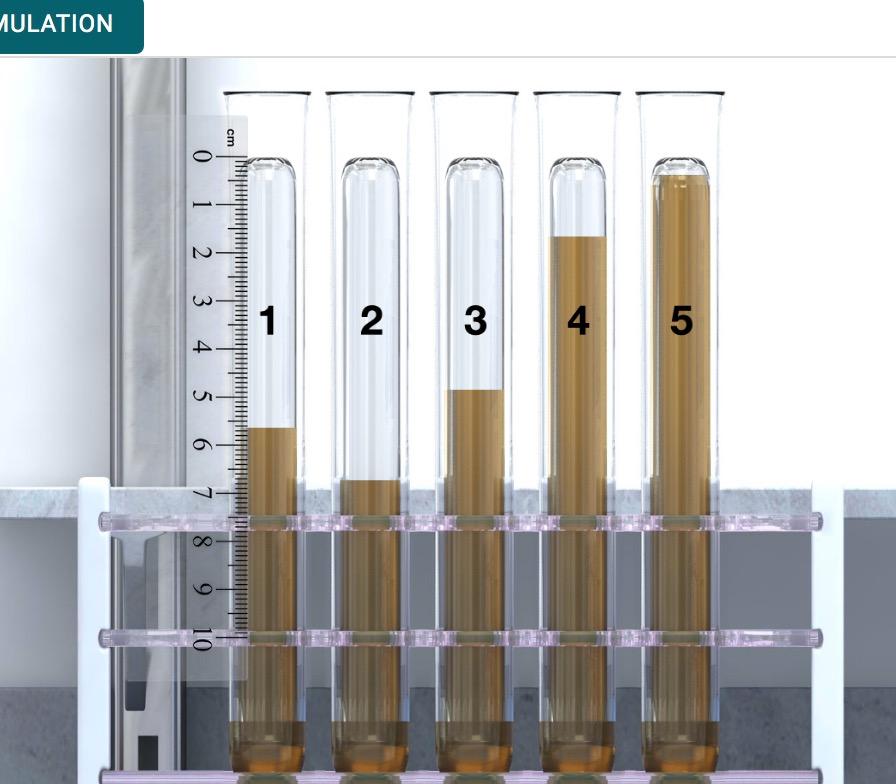 Solved 6.Zoom in. Measure height of gas bubbles in