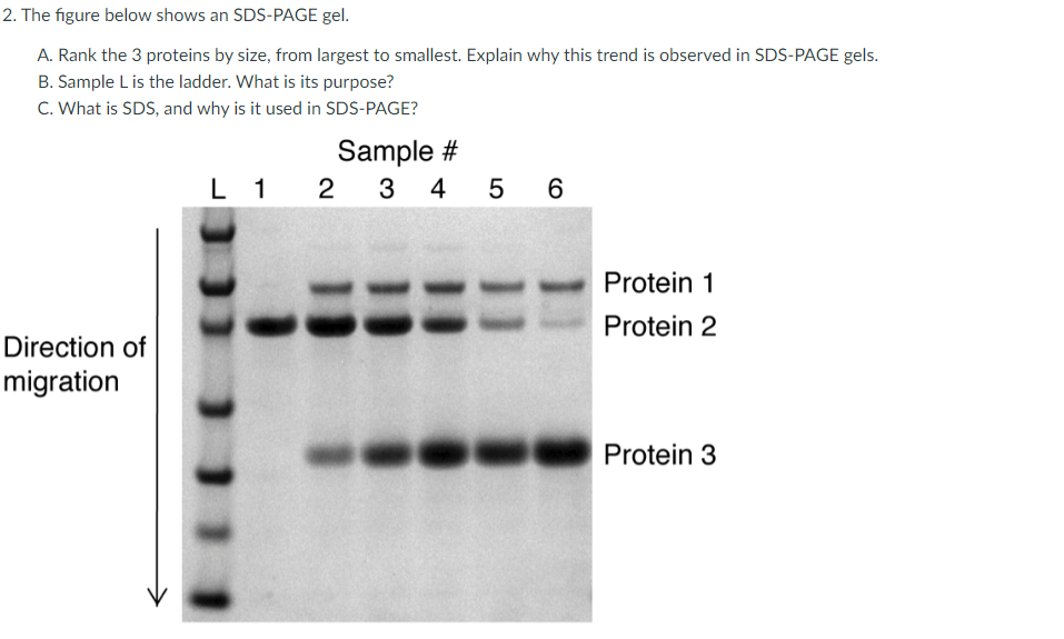 Solved A) Calculate the extinction coefficients at 280 nm