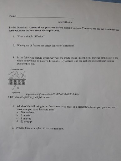 Solved Name Lab Diffusion Pre lab Questions: textbook/sotes | Chegg.com