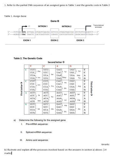 Solved 1. Refer to the partial DNA sequence of an assigned | Chegg.com